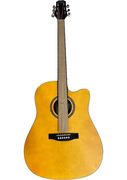 Akustik Gitar