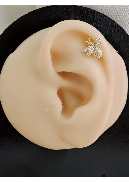 Arı Model Kıkırdak Piercing Tragus Helix Altın Gold Renk Küpe