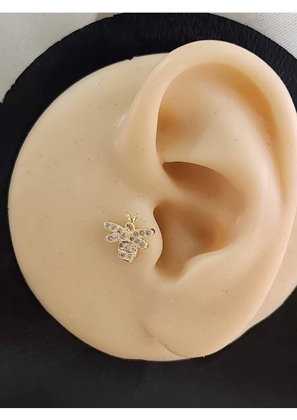 Arı Model Kıkırdak Piercing Tragus Helix Altın Gold Renk Küpe