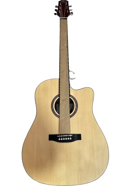 Akustik Gitar