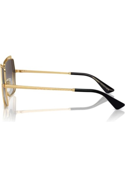 Dolce Gabbana DG2306 02/8g 55 Kadın Güneş Gözlüğü fiyatları