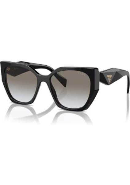 PR19ZS 1AB0A7 55 Kadın Güneş Gözlüğü
