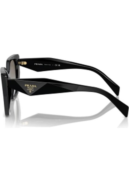 PR19ZS 1AB0A7 55 Kadın Güneş Gözlüğü fiyatları