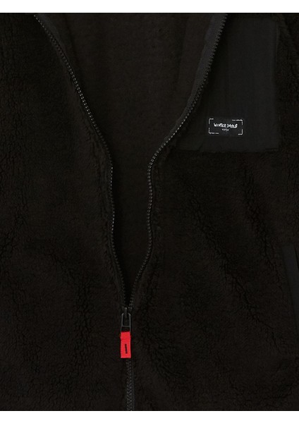 Lcw Kids Dik Yaka Erkek Çocuk Polar Hırka fiyatları