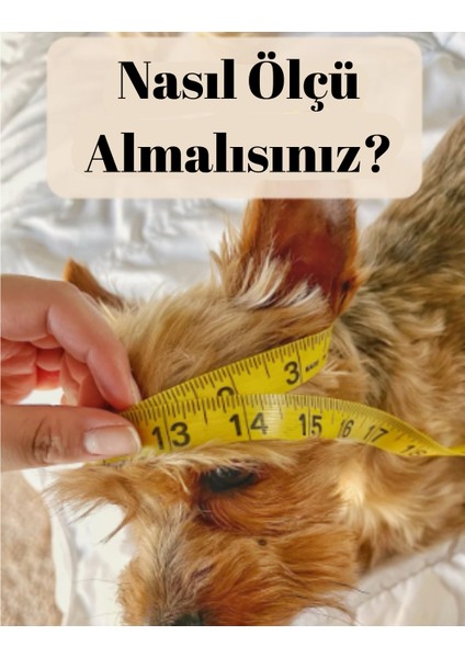 Köpek,kedi Şapkası Yılbaşı Hediye Aksesuarı Evcil Hayvan Şapkası Kırmızı Ölçüye Özel Üretim