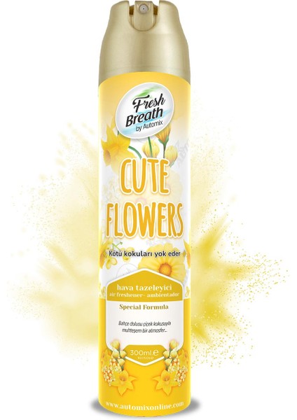 Aerosol Araç Kokusu - Cute Flowers 300ML