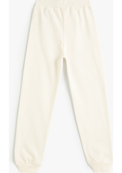 Standart Bel Lastikli Basic Jogger Eşofman Altı fiyatları