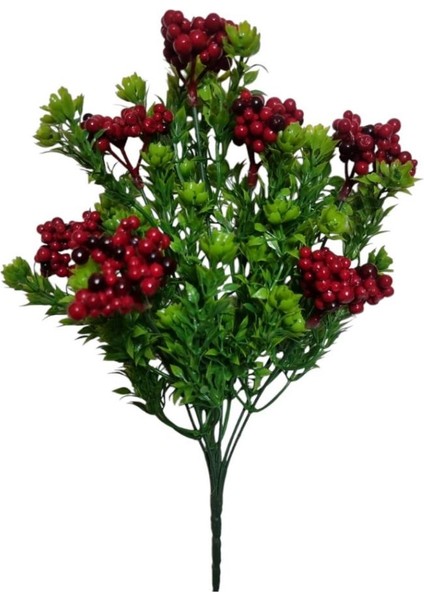 7 Dal Mini Kokina Demeti