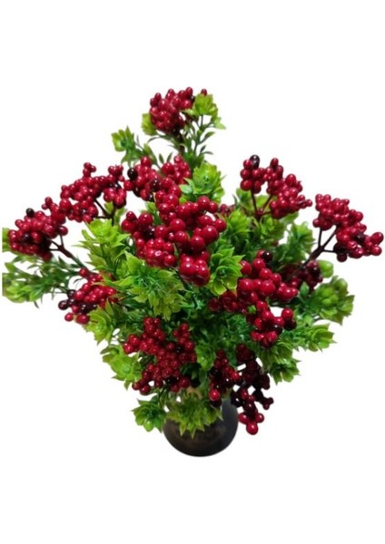 7 Dal Mini Kokina Demeti fiyatları