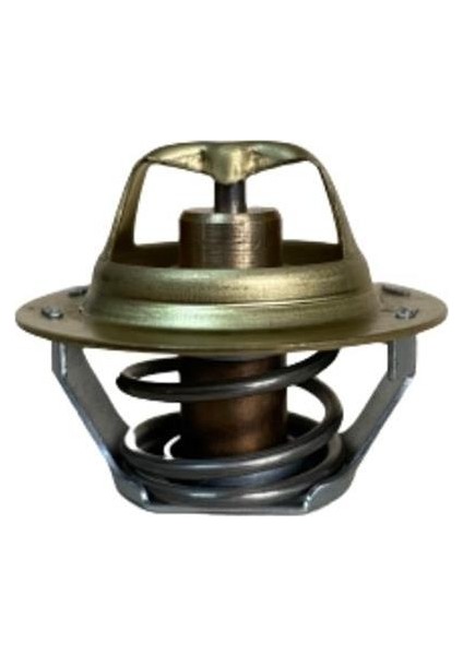 1080568 - Termostat