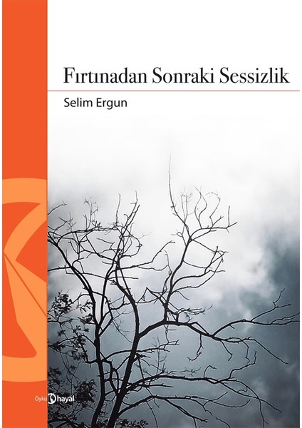 Fırtınadan Sonraki Sessizlik - Selim Ergun