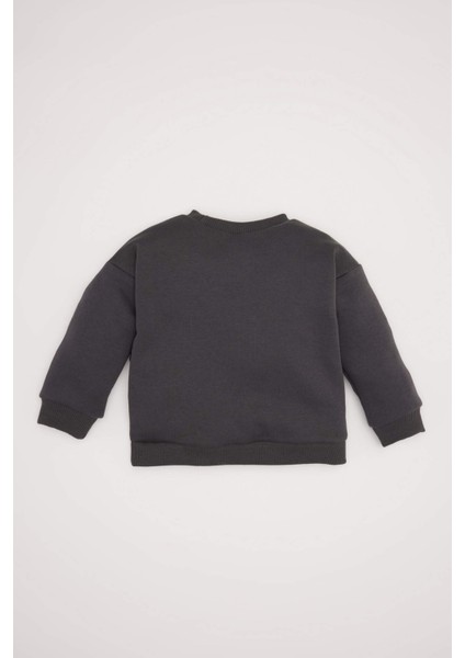 Kız Bebek Bisiklet Yaka Fiyonklu Sweatshirt D6267A524WN