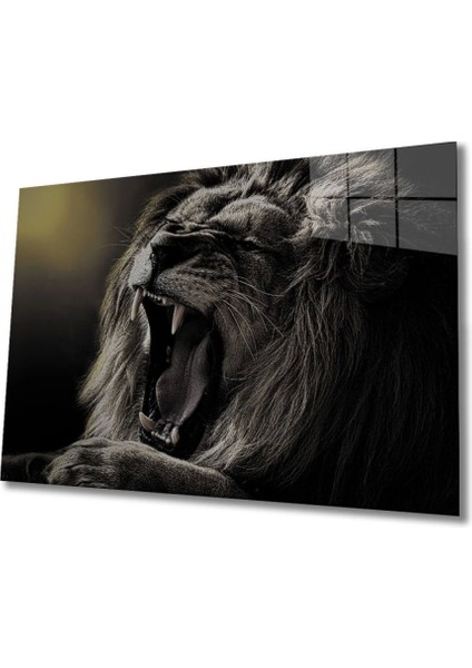 Aslan 4 Cam Tablo