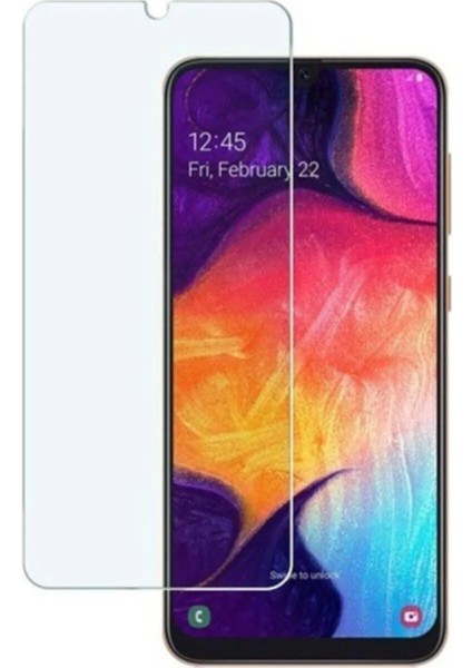 Toptan Bulurum Toptanbulurum Samsung Galaxy A20 Uyumlu Premium Ekran Koruyucu 9H Sert Temperli Kırılmaz Cam Koruma Şeffaf