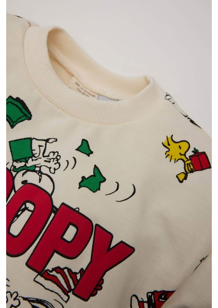Erkek Bebek 2'li Takım Snoopy Sweatshirt Beli Lastikli Eşofman Altı D6306A524WN modelleri