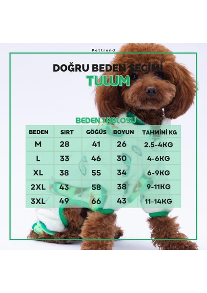 Avocado - Avokado Peluş Tulum Kedi Köpek Tulumu Kedi Köpek Kıyafeti Kedi Köpek Elbisesi Köpek Giysisi fiyatları