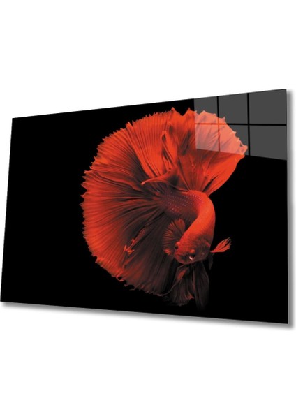 Kırmızı Balık Cam Tablo