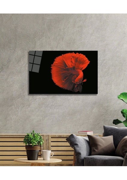 Kırmızı Balık Cam Tablo fiyatları