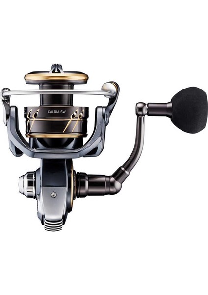 Daiwa Caldia 22 Sw 4000 C Xh Spin Olta Makinesi modelleri