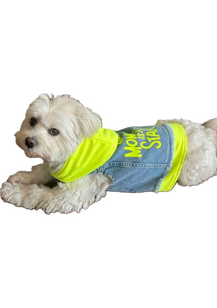 Köpek Kıyafeti Kot Yelek Fosforlu Neon