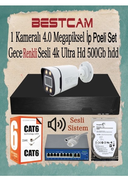 1 Kameralı 4 Mega Piksel Ip Poeli Set Gece Renkli Sesli 4K Ultra Hd 500 Gb Hdd