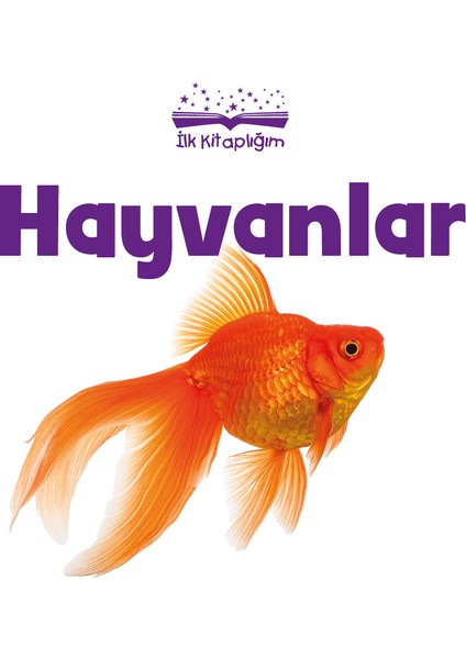 İlk Kitaplığım Seti 9 Kitap fırsatları
