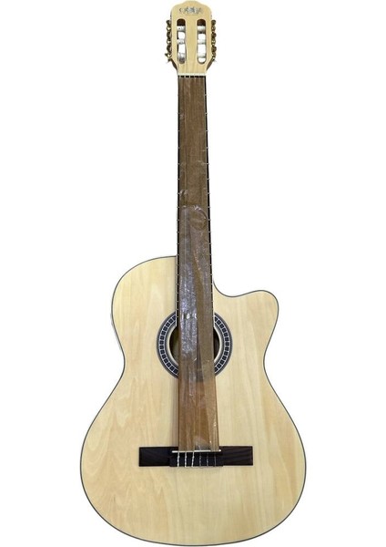 Elektro Klasik Gitar
