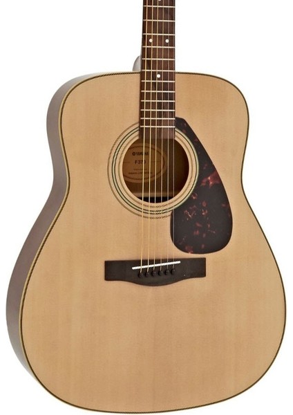F370 DW Akustik Gitar