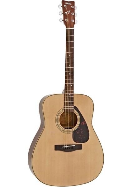 F370 DW Akustik Gitar