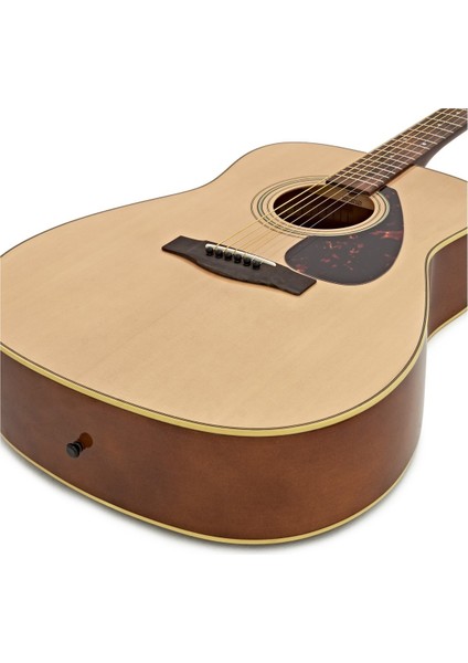 F370 DW Akustik Gitar
