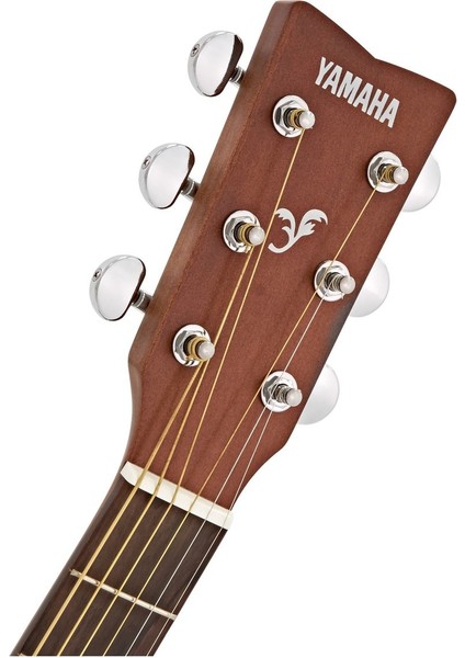 F370 DW Akustik Gitar