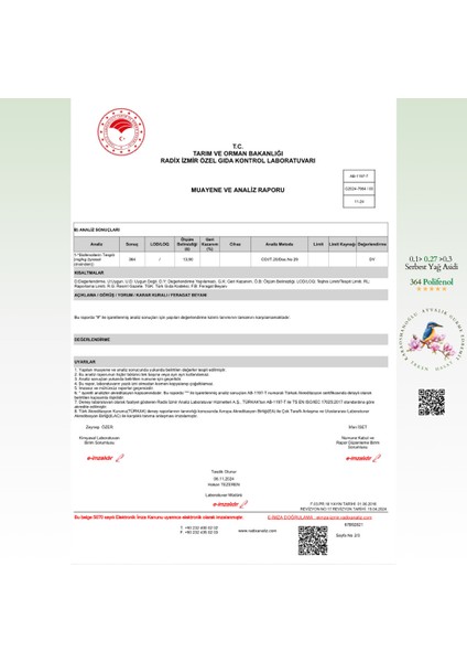 Ayvalık Edremit Erken Hasat 3lt