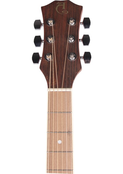 F800N Akustik Gitar