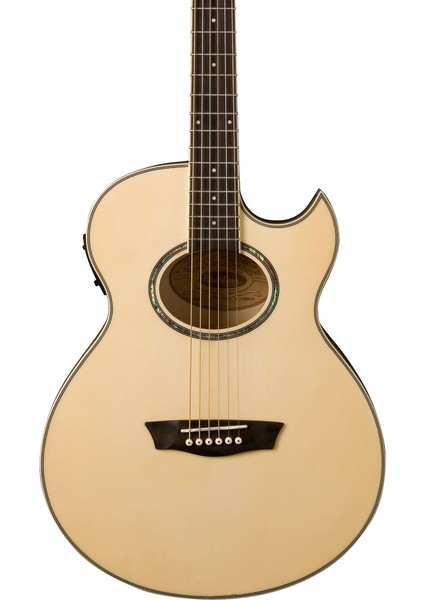EA20 Elektro Akustik Gitar