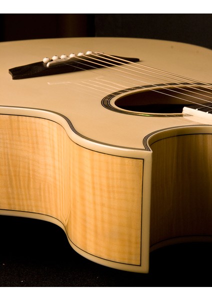 EA20 Elektro Akustik Gitar