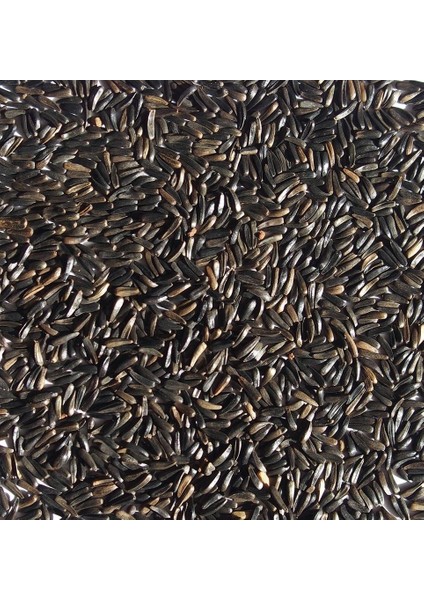 Nijer Tohumu (Kızıştırıcı) 150GR fiyatları