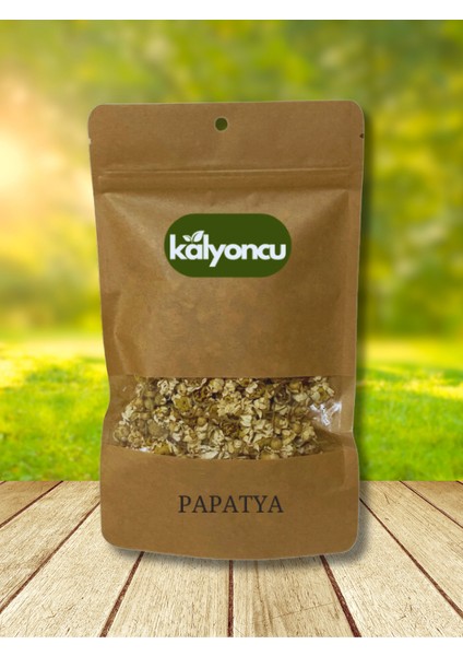 Papatya 40 gr (Mayıs Papatyası)