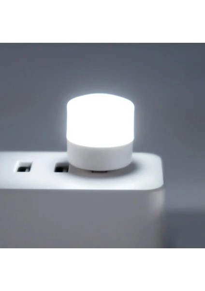 Mini USB LED Lamba 2 Adet fiyatları
