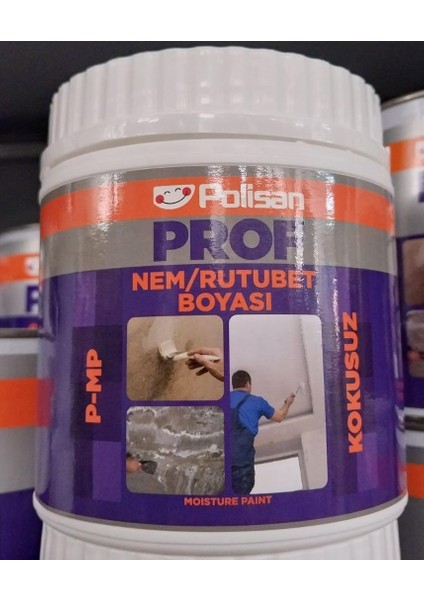 Prof P-Mp Kokusuz Su Bazlı Nem ve Rutubet Boyası 1 Kg 0,800 Lt