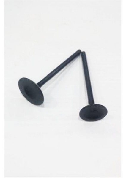 TVS APACHE EMME EGZOZ SÜBAP TAKIMI RTR 180