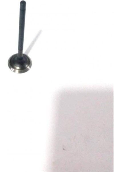 Egzoz Sübabı Sym Wolf 125 (orj)