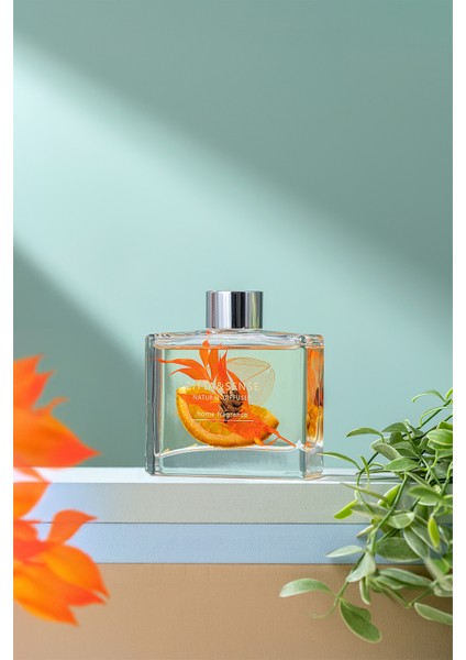 Cıtta Bloom Of Scent | Dream Serisi | Grasse Style Oda Kokusu | 120 ml Oda Kokusu