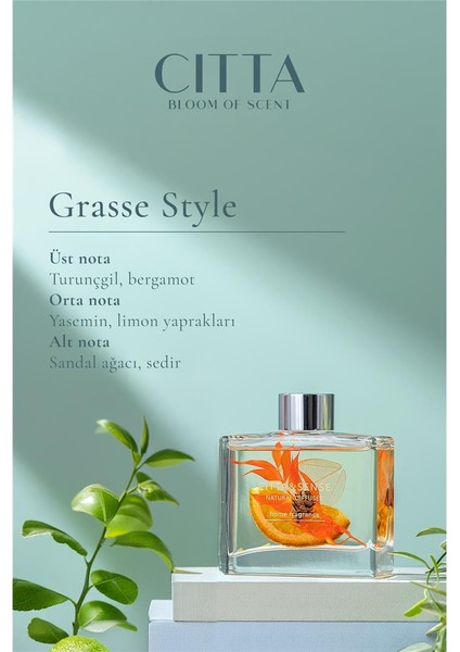 Cıtta Bloom Of Scent | Dream Serisi | Grasse Style Oda Kokusu | 120 ml Oda Kokusu