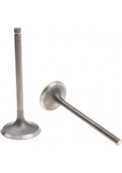 Emme Egzoz Sübap Takımı Cg 200