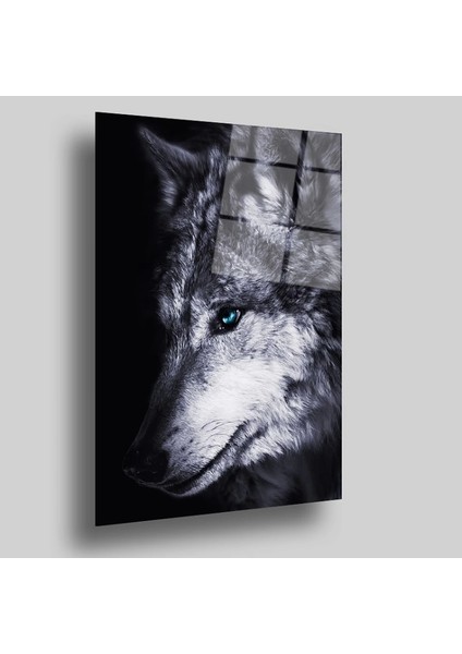 Teknoo- Kurt Cam Tablo fiyatları