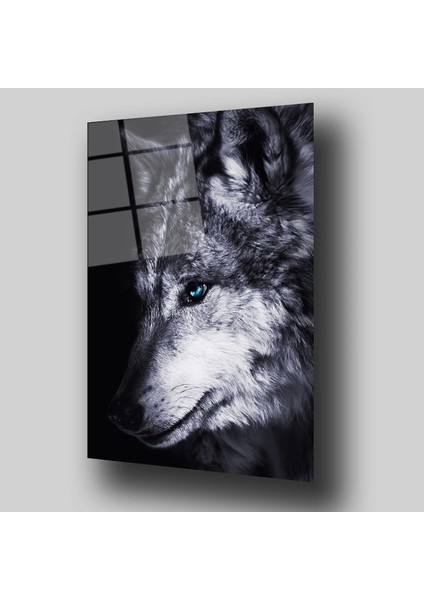 Teknoo- Kurt Cam Tablo modelleri