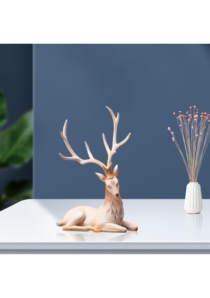 Colourfulland Ren Ği Süsleme Tahsil Hediyeler Raf Yatma (Yurt Dışından) fiyatları