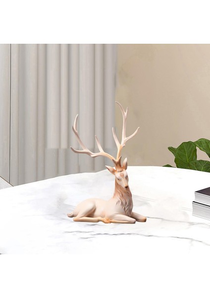 Colourfulland Ren Ği Süsleme Tahsil Hediyeler Raf Yatma (Yurt Dışından) indirimleri