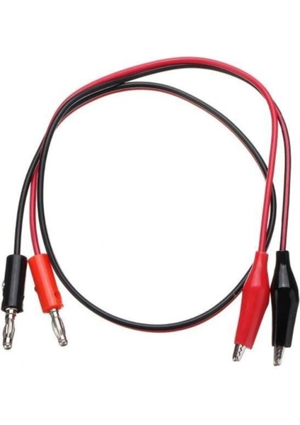 Dijital Ayarlı Güç Kaynağı Probu P1038 100 cm