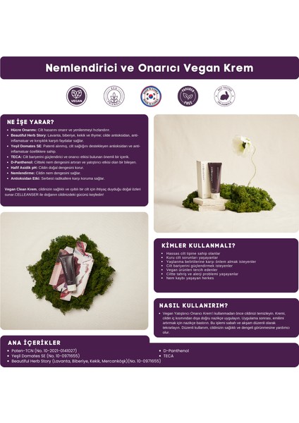 Centella Içeren Nemlendirici ve Onarıcı Günlük Vegan Bakım Kremi